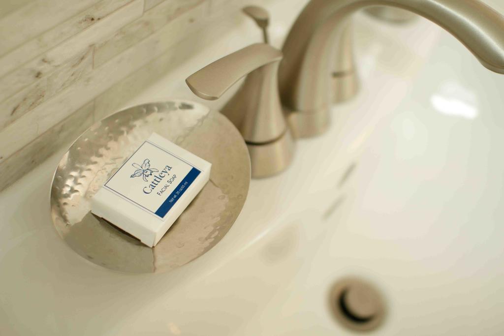 Cattleya Luxury Suites 金斯敦 客房 照片