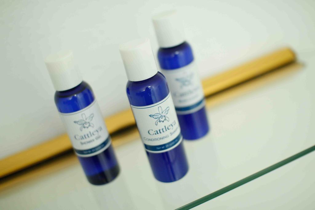 Cattleya Luxury Suites 金斯敦 客房 照片